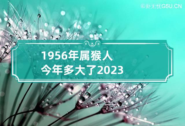 1956年属猴人今年多大了2023