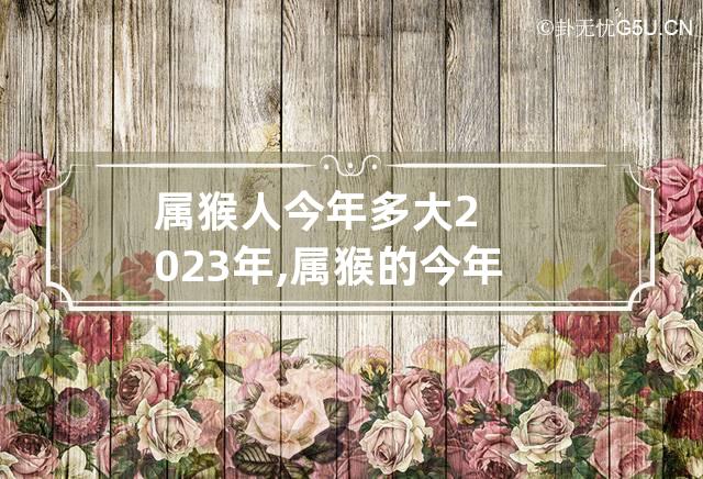 属猴人今年多大2023年,属猴的今年多少岁2023年兔年