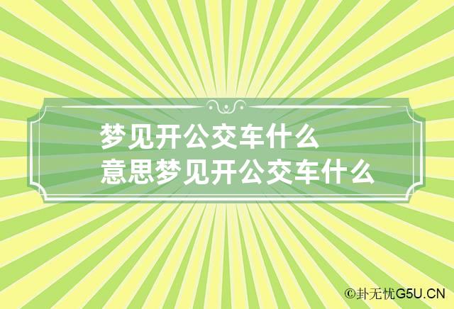 梦见开公交车什么意思 梦见开公交车什么意思呀