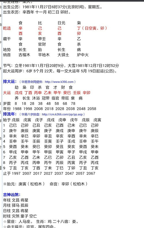 亥在八字代表什么意思