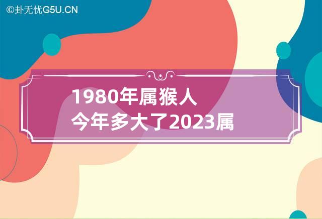 1980年属猴人今年多大了2023 属猴的1980年今年是多大