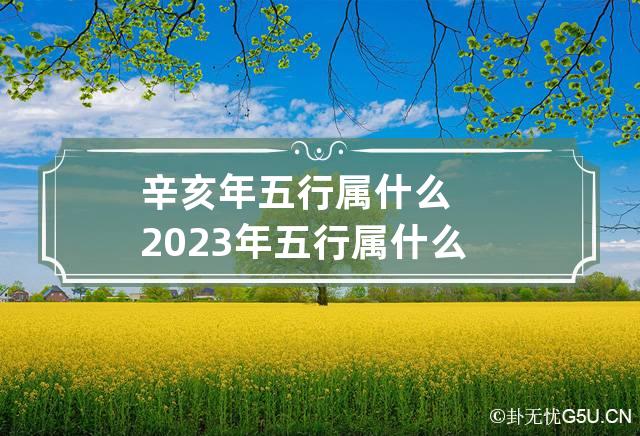 辛亥年五行属什么 2023年五行属什么,缺什么