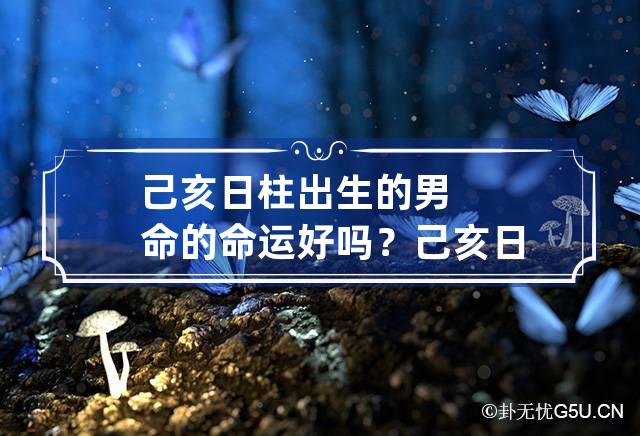 己亥日柱出生的男命的命运好吗？ 己亥日柱男命三命通会