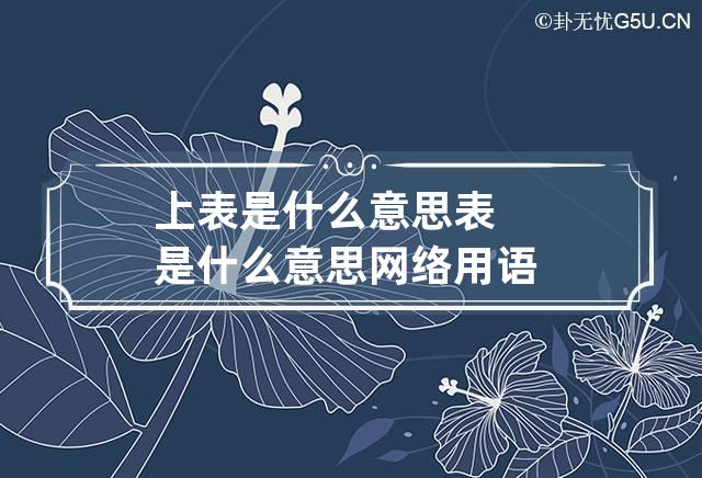 上表是什么意思 表是什么意思网络用语