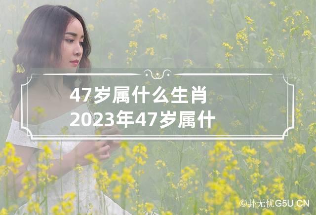 47岁属什么生肖 2023年47岁属什么生肖