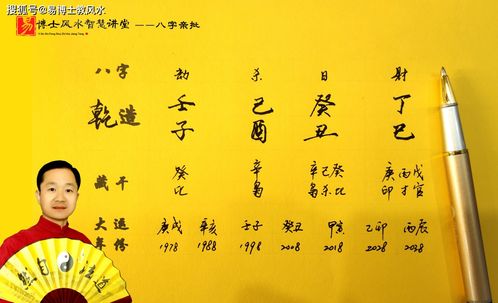 八字日元壬水