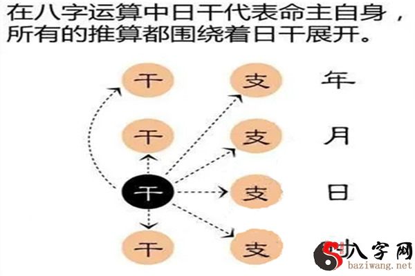 八字命局的组合结构详解