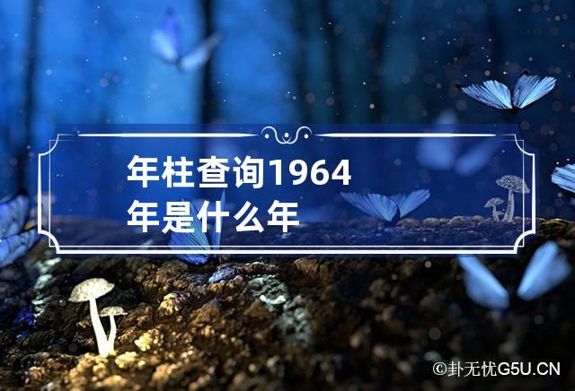 年柱查询 1964年是什么年