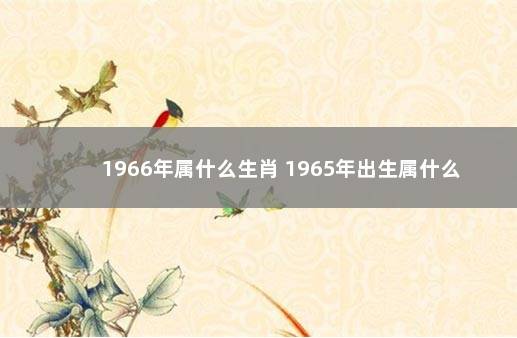 1966年属什么生肖 1965年出生属什么