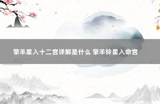 擎羊星入十二宫详解是什么 擎羊铃星入命宫