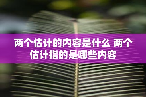 两个估计的内容是什么 两个估计指的是哪些内容