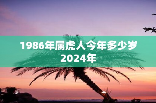 1986年属虎人今年多少岁2024年