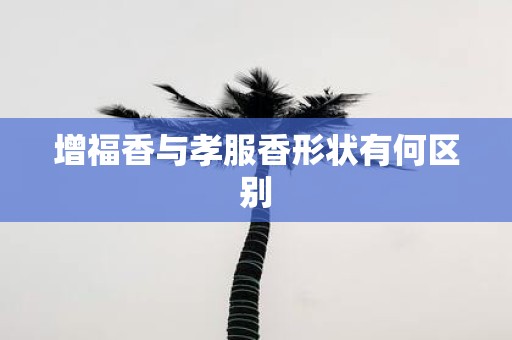 增福香与孝服香形状有何区别