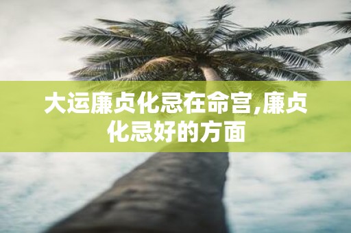 大运廉贞化忌在命宫,廉贞化忌好的方面