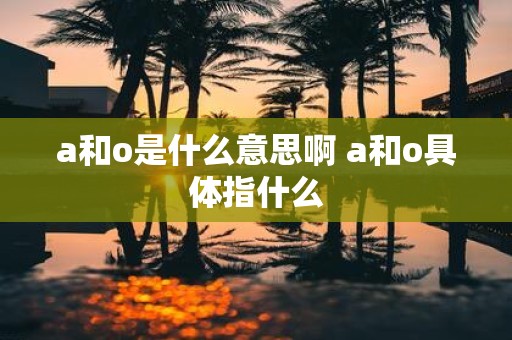 a和o是什么意思啊 a和o具体指什么