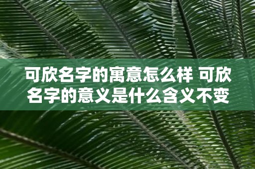 可欣名字的寓意怎么样 可欣名字的意义是什么含义不变