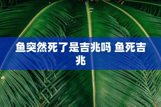 鱼突然死了是吉兆吗 鱼死吉兆