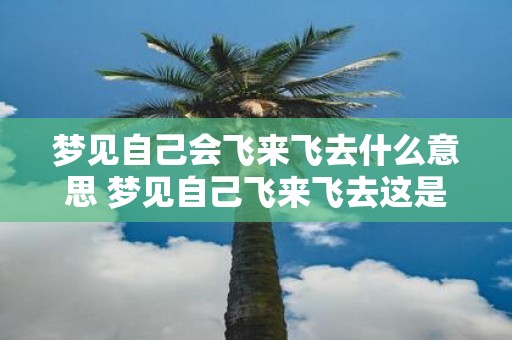 梦见自己会飞来飞去什么意思 梦见自己飞来飞去这是什么含义