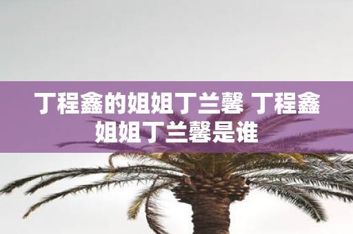 丁程鑫的姐姐丁兰馨 丁程鑫姐姐丁兰馨是谁