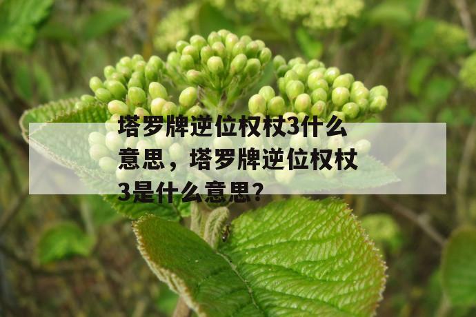 塔罗牌逆位权杖3什么意思，塔罗牌逆位权杖3是什么意思？