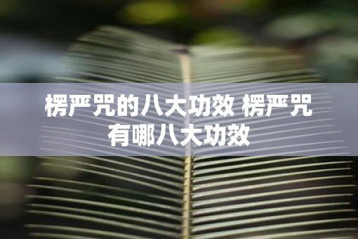 楞严咒的八大功效 楞严咒有哪八大功效