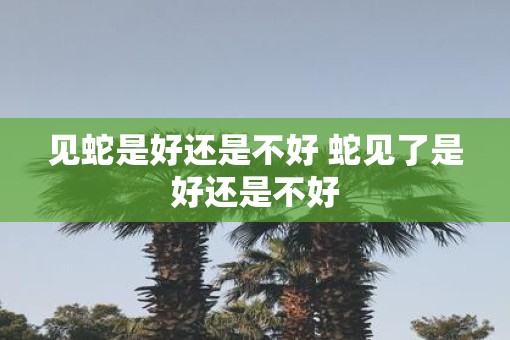 见蛇是好还是不好 蛇见了是好还是不好