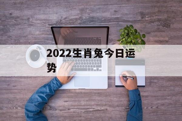 2022生肖兔今日运势