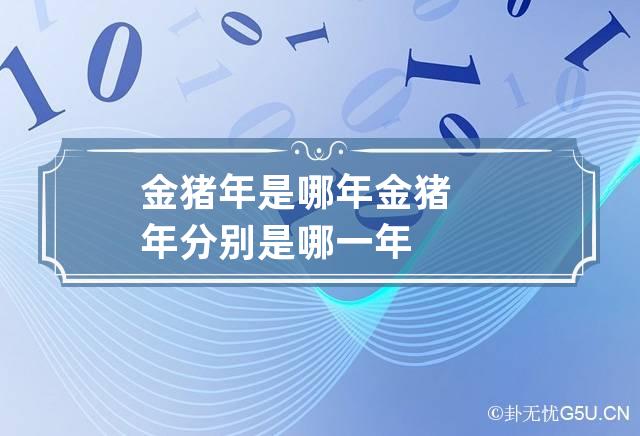 金猪年是哪年 金猪年分别是哪一年