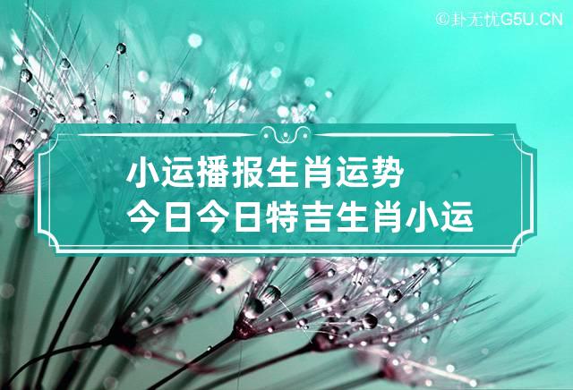 小运播报生肖运势今日 今日特吉生肖小运播报运势