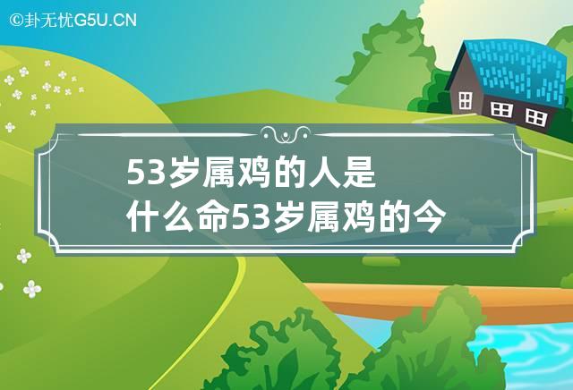 53岁属鸡的人是什么命 53岁属鸡的今年运势