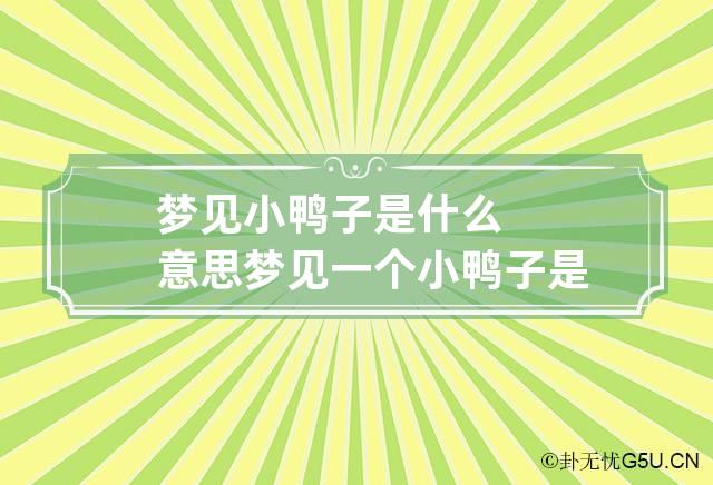 梦见小鸭子是什么意思 梦见一个小鸭子是什么意思