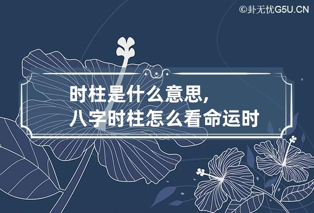 时柱是什么意思,八字时柱怎么看命运 时柱在八字中的作用