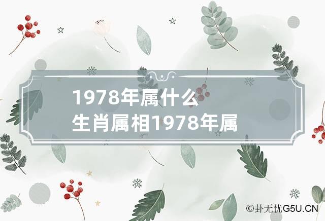 1978年属什么生肖属相 1978年属什么生肖属相五行