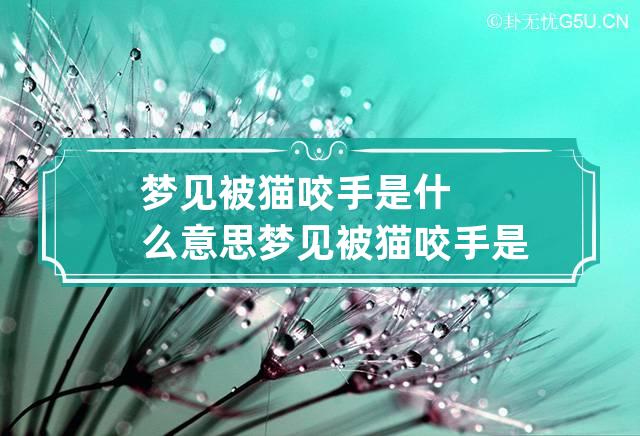 梦见被猫咬手是什么意思 梦见被猫咬手是什么意思呢