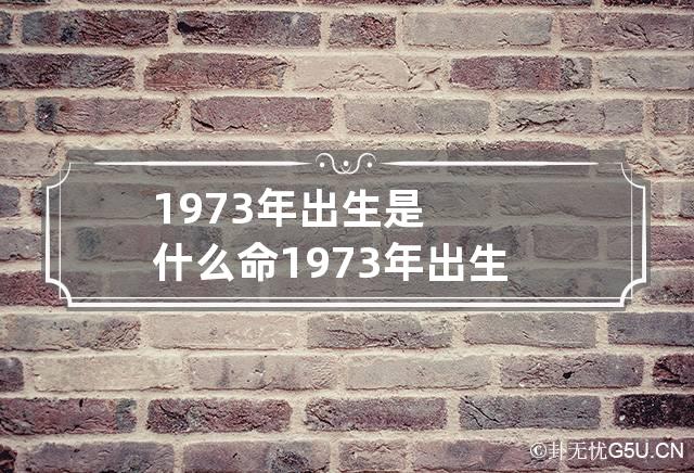 1973年出生是什么命 1973年出生是什么命五行