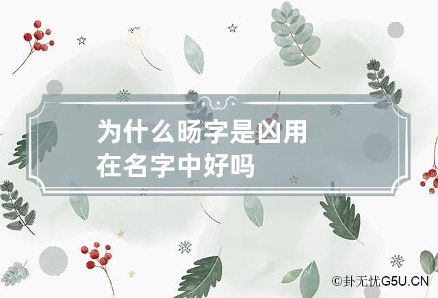 为什么旸字是凶 用在名字中好吗