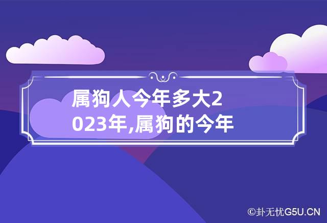 属狗人今年多大2023年,属狗的今年多少岁2023年兔年