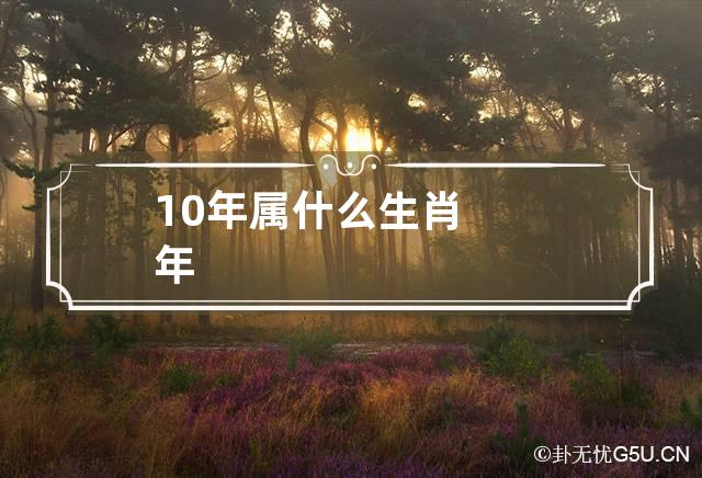 10年属什么生肖年