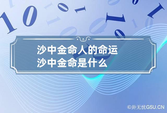 沙中金命人的命运 沙中金命是什么