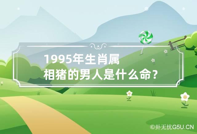 1995年生肖属相猪的男人是什么命？一生命运怎么样？