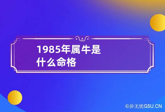 1985年属牛是什么命格