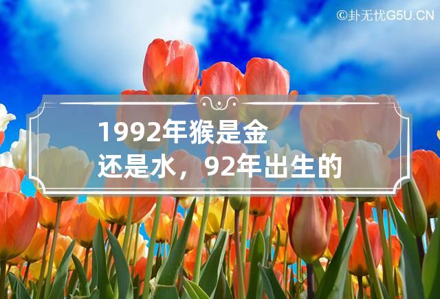 1992年猴是金还是水，92年出生的猴是什么命？