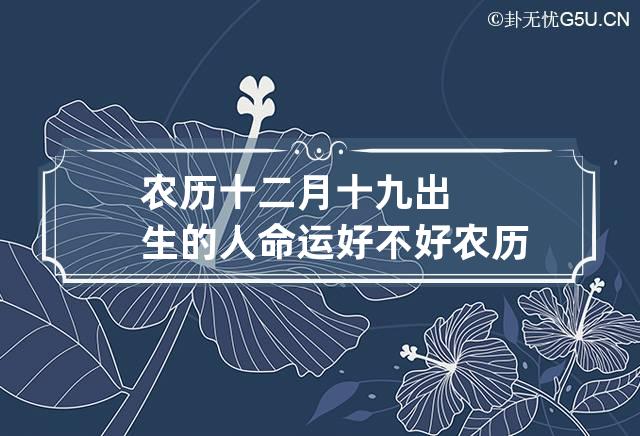 农历十二月十九出生的人命运好不好 农历12月19日出生的人好不好