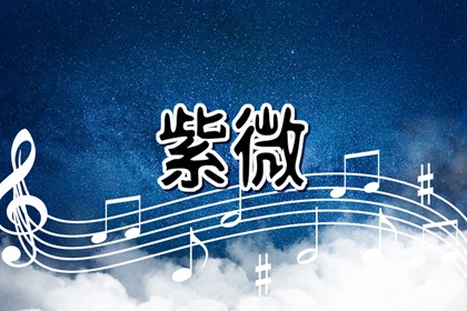 武曲化权是什么意思 武曲化权落紫微命盘十二宫