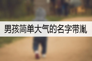 男孩简单大气的名字带胤