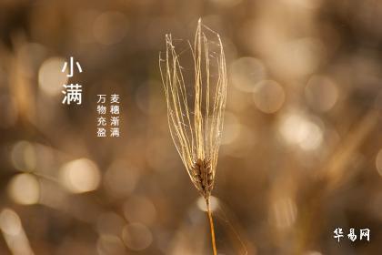 2023年小满出生的男孩名字叫什么,2023年小满出生的男孩名字