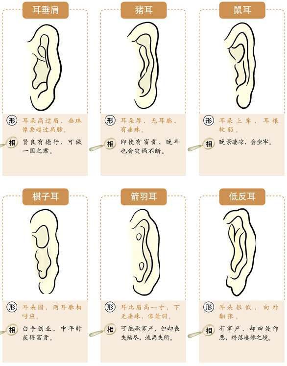 耳朵往上提面相,耳朵上耸的面相好不好,耳朵向上耸,是什么面相