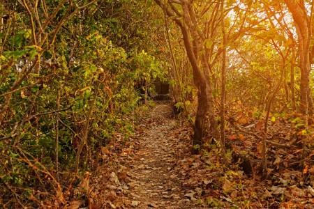 风水开山是什么意思,中国风水开山鼻祖,风水的开山鼻祖是谁