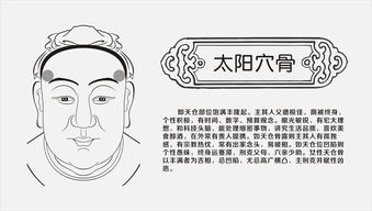 九贵骨大有玄机,九贵骨面相,骨相九贵骨