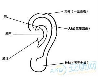 耳部刮痧,耳部